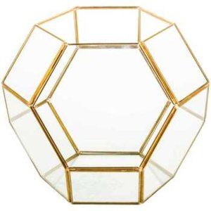 Gold Hexagon Terrarium